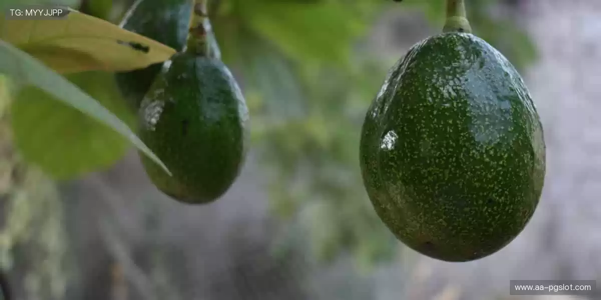 🎥多屏互动，实时弹幕，让观赛更有温度！